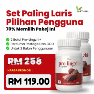 SET PALING LARIS