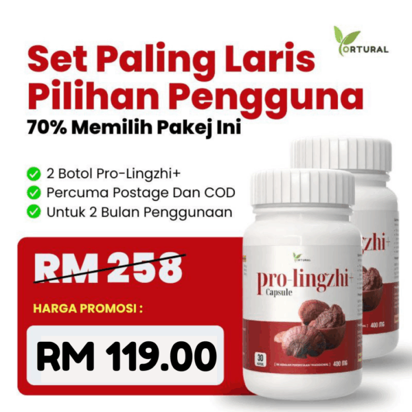 SET PALING LARIS