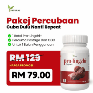 PAKEJ PERCUBAAN