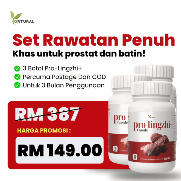 SET RAWATAN PENUH